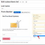 Customize signup form in WPNewsman